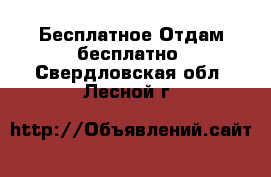 Бесплатное Отдам бесплатно. Свердловская обл.,Лесной г.